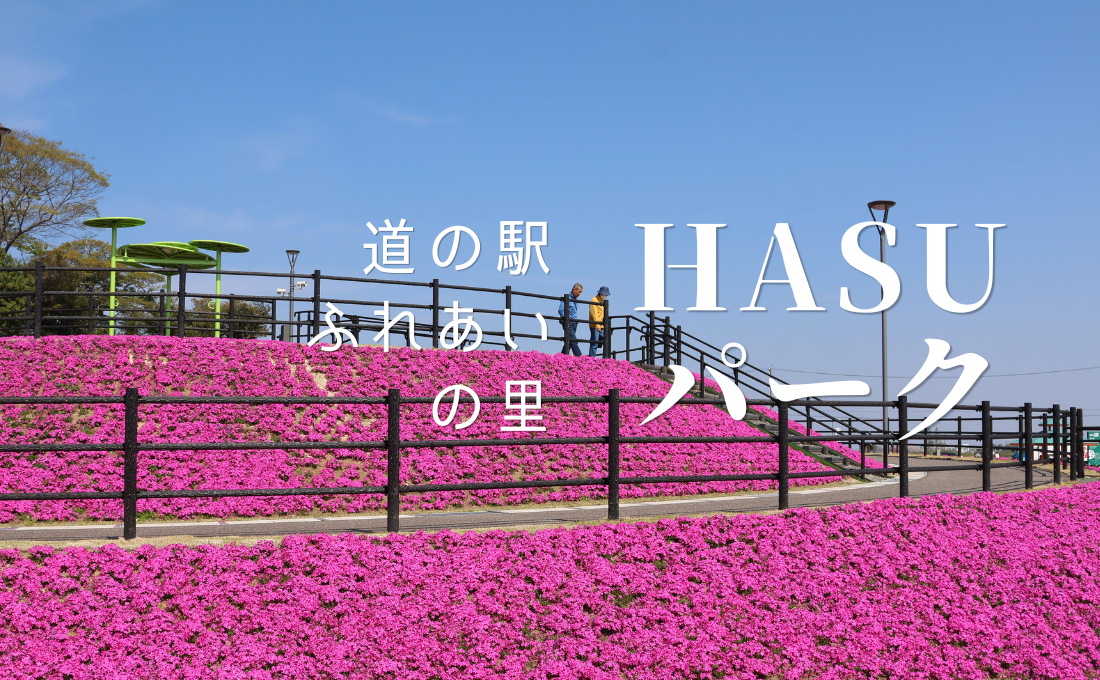 道の駅HASUパーク（春）